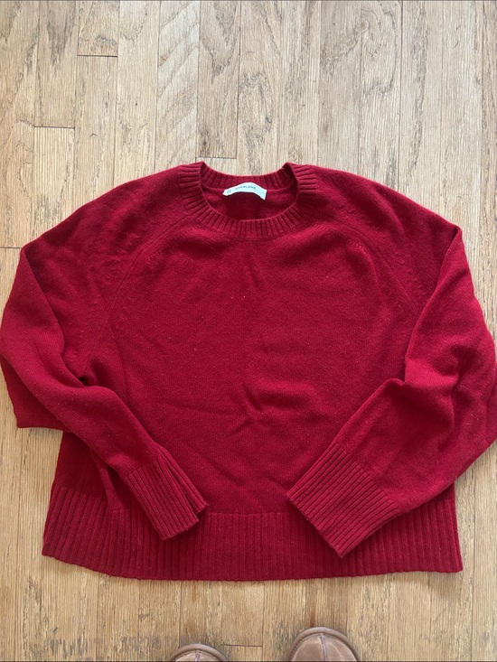 Everlane Sweaters - Everlane Crimson Crewneck Sweater